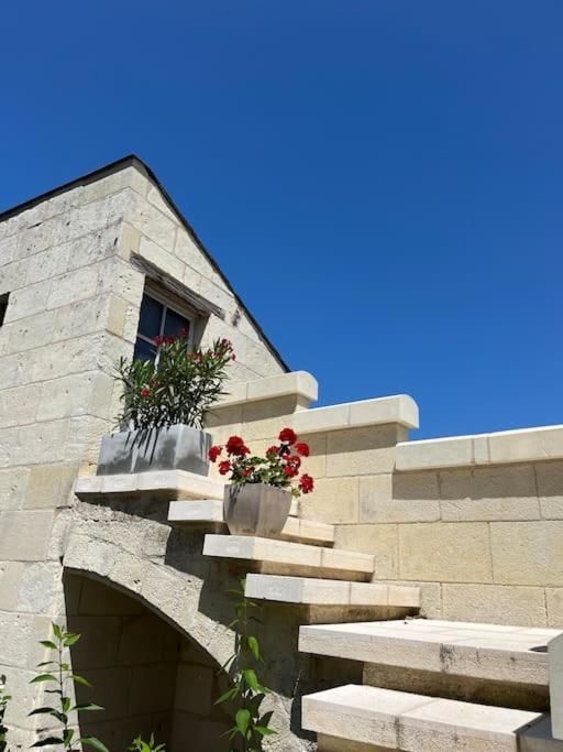 Turquant Le Relais De L'Artisteヴィラ エクステリア 写真