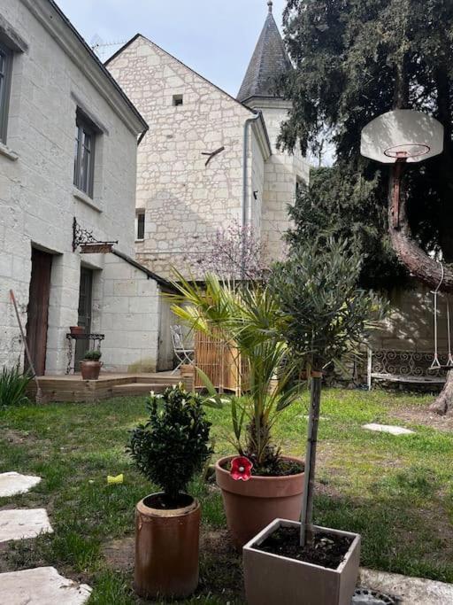 Turquant Le Relais De L'Artisteヴィラ エクステリア 写真