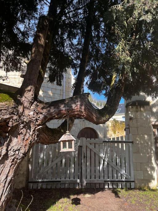 Turquant Le Relais De L'Artisteヴィラ エクステリア 写真