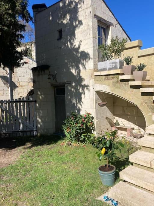 Turquant Le Relais De L'Artisteヴィラ エクステリア 写真